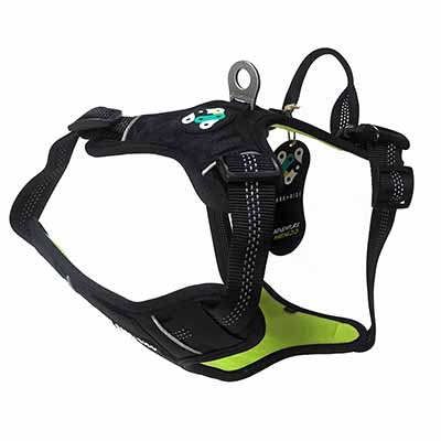 durable harness with handle