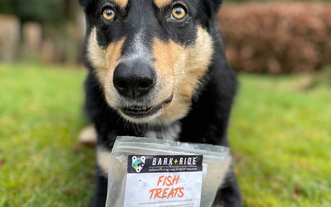 What are the best types of dog training treats?