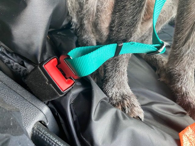 Adjustable Safety Harnesses Lead Restraint Strap Mufuny Car Pet Dog Travel Seat Belt Color : Blue 