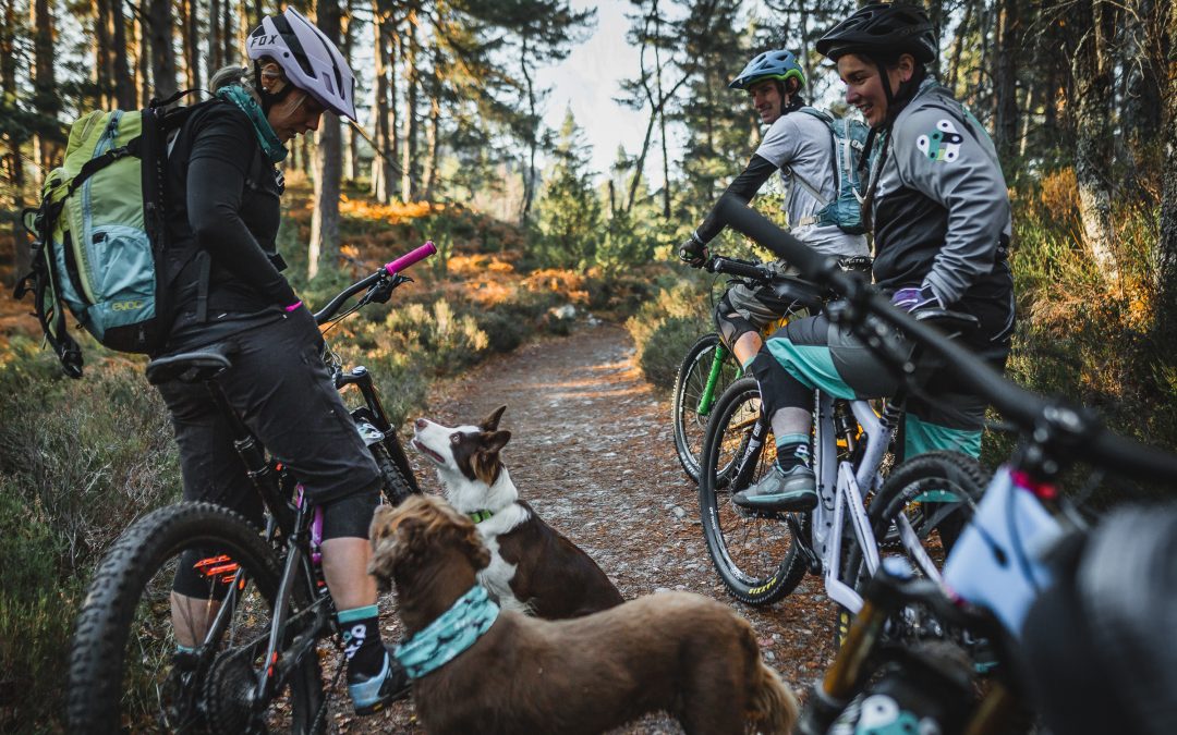 Talking Trail Dogs with Singletrack Mag