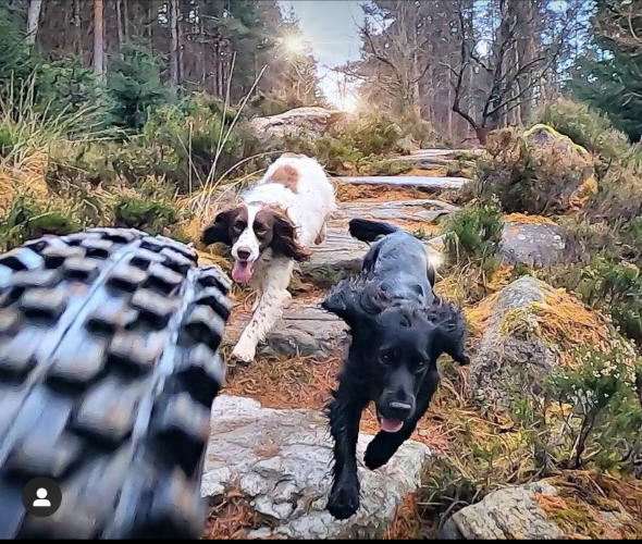 Winter Riding Tips with Trail Dogs