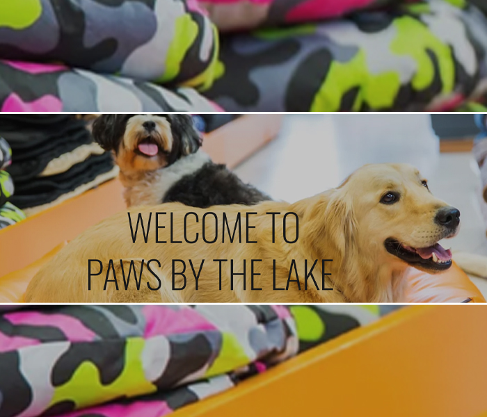 Paws By The Lake Ambleside Pet Shop