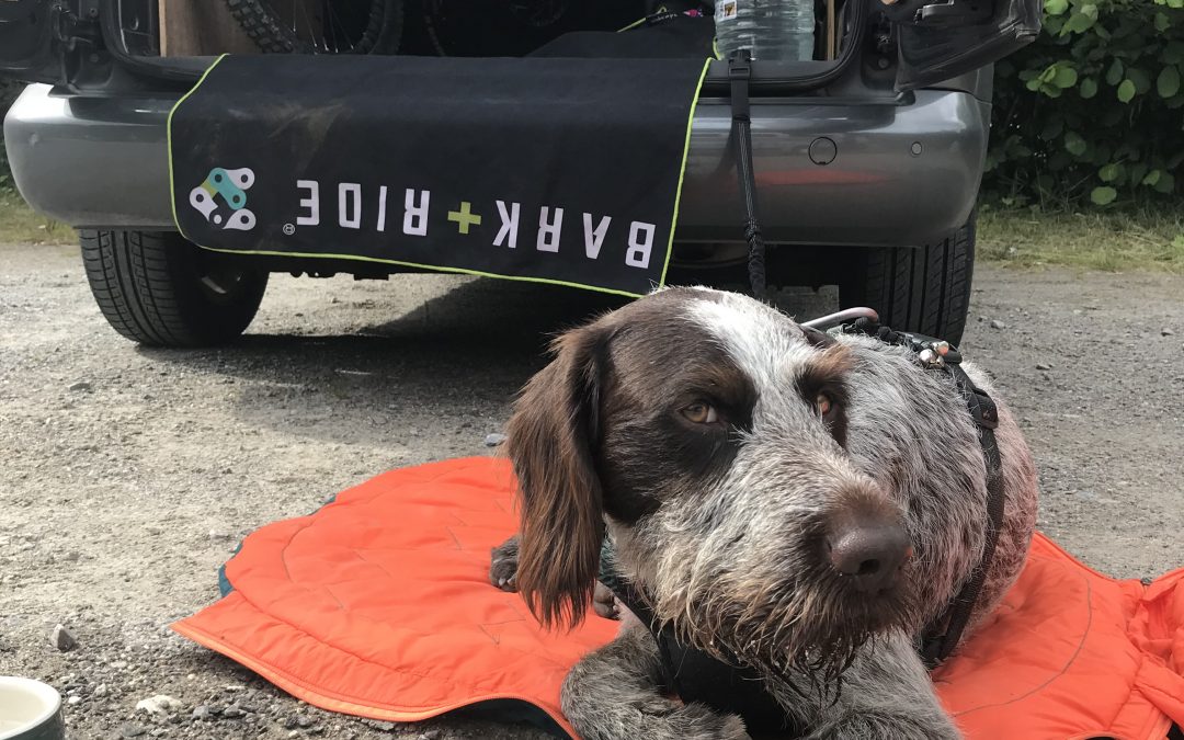 Harris Dog Sleeping Bag – Tried and Tested