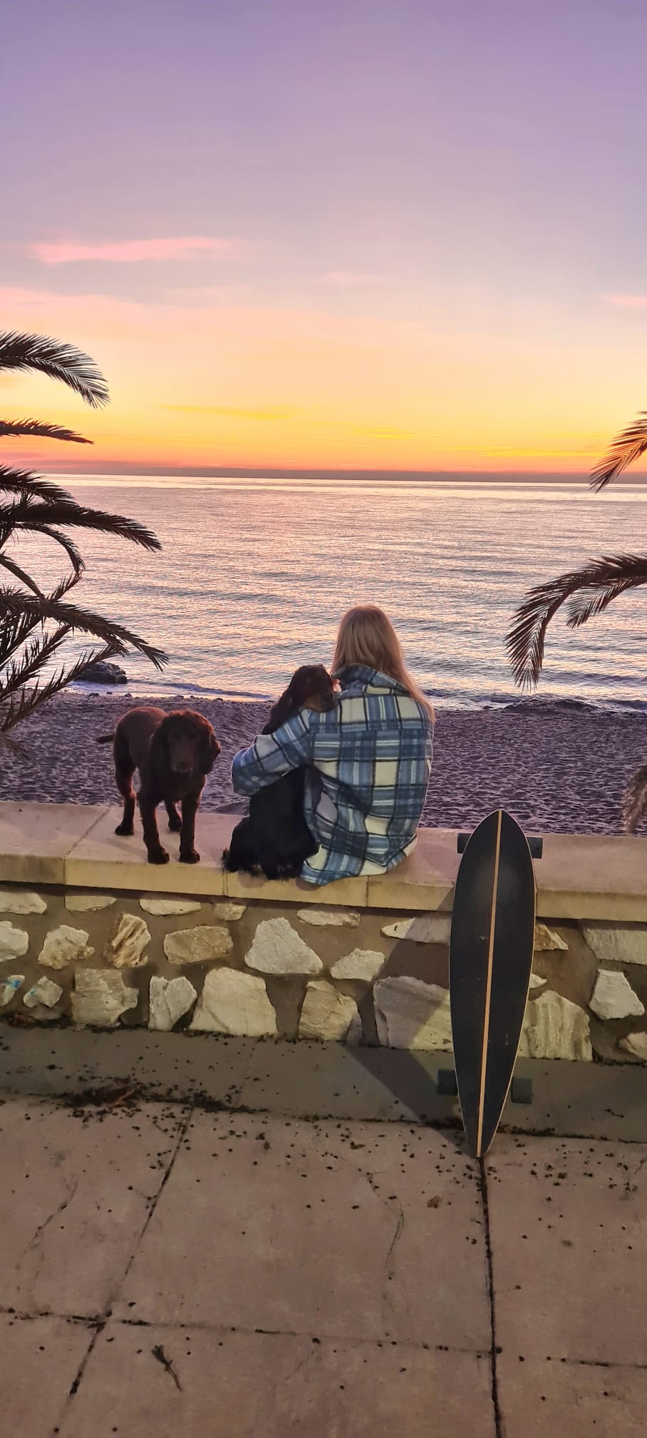 Sundown in Spain with my two dogs